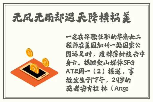 罗志祥5G开网站入口
